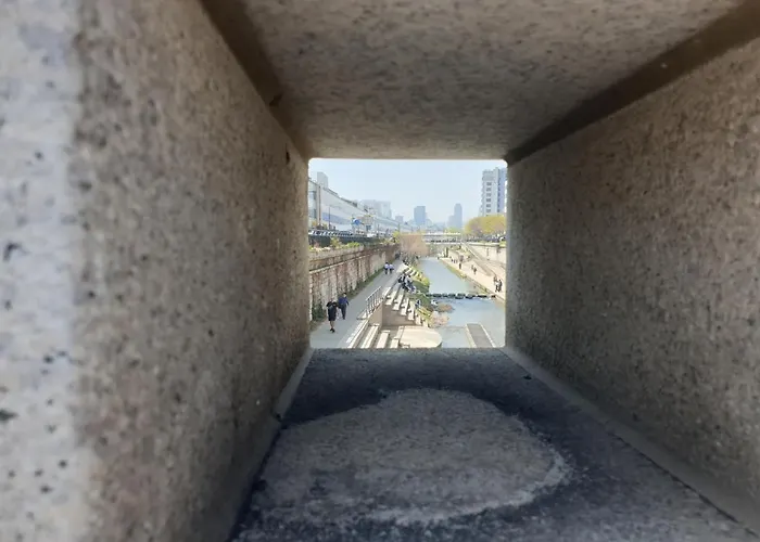 公寓 Nature Dongdaemun